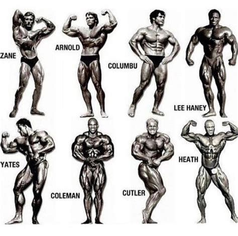 physique is not classic physique anymore. . Classic bodybuilding poses names
